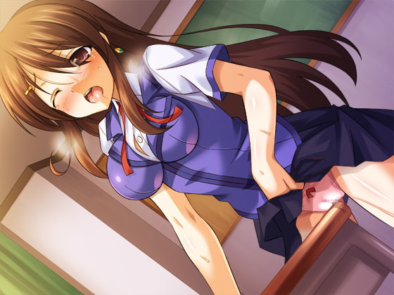 【拔作ADV/汉化/恶堕】TS魔法少女闪 调教恶堕plus！精翻汉化版【2G/新汉化/CV】