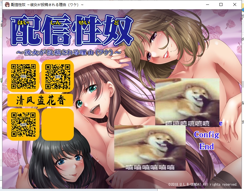 【拔作ADV/汉化/CV】性奴视频发布！用女友来投稿的理由！安卓+PC 汉化版+CG包【新汉化/1G】