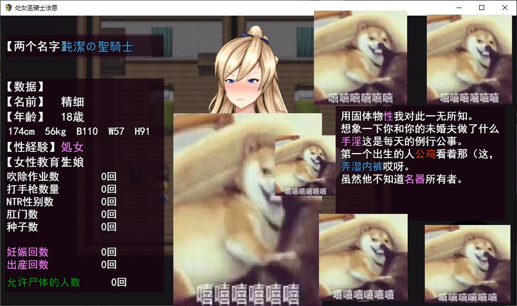 【日式RPG/汉化/动态】处女圣骑士菲涅用身体拯救王国的故事！ v1.05 机翻汉化版【新作/2.1G】